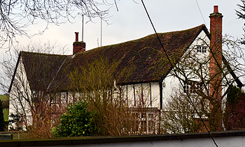 Badgers Holt January 2013